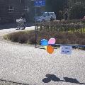 Optocht 120