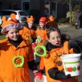 Optocht - 220
