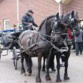 Boerenbruiloft - 001