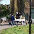 Boerenbruiloft - 053