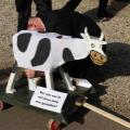 Boerenbruiloft - 086