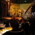 Pronkziting zaterdag 16-02-19 (356)