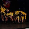pronkzitting 014