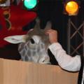 2014 Prinsenbal - 026