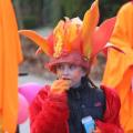 Optocht - 205