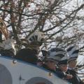 Optocht - 268