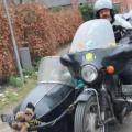 Boerenbruiloft - 148