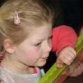 Jeugdprins-receptie - 227