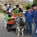 Optocht - 226