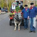Optocht - 227