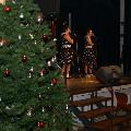 Liedjesavond-067