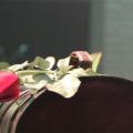 MIC - 221