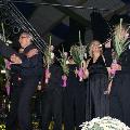 Proms-360