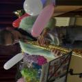 SAM_2937