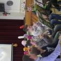 SAM_3035