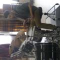 SAM_3064