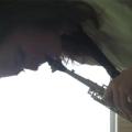 SAM_3118