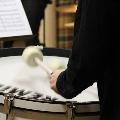Voorbereidingsconcert fanfare - 173