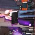 IMG_0981