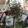 Concertreis Brugge 331