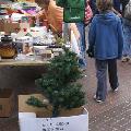 DSC06019
