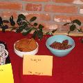 DSCF0058