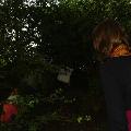 DSC09101