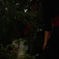 DSC09102