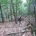 DSCF6041