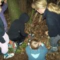 Kamp2010_33