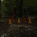 DSC02456