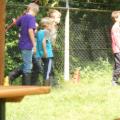 DSCN0868