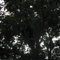 DSCN0982