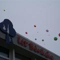 Opening 't Benkske 026