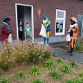 IMG_20201122_123643_9
