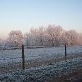 foto dorpsraad de raam 077