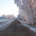 foto dorpsraad de raam 086