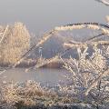 foto dorpsraad de raam 181