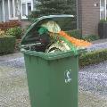 Intocht St Nicolaas-056