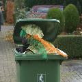 Intocht St Nicolaas-057