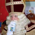 Intocht Sint Nicolaas-276