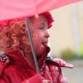 Intocht Sint Nicolaas - 009