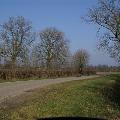 PICT0035