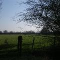 PICT0036