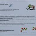 Jeu de Boules - 12