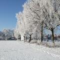 Sportveld